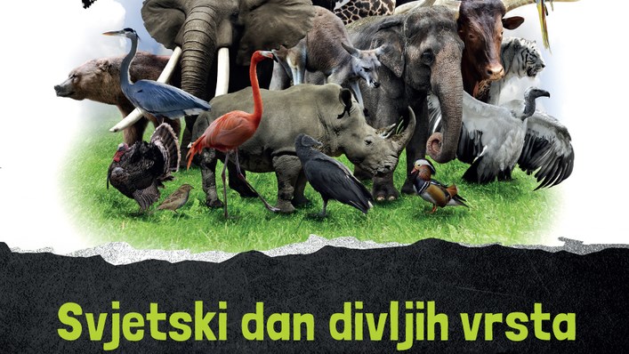 Slika /NASLOVNE FOTOGRAFIJE I KORIŠTENI LOGOTIPOVI/content/58b94273639a0.jpg